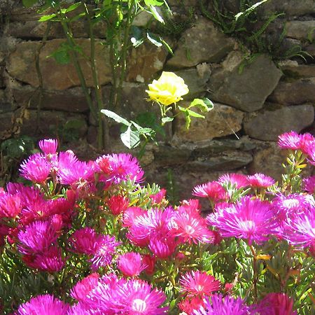 Liosderrig House B&B Glenbeigh Buitenkant foto